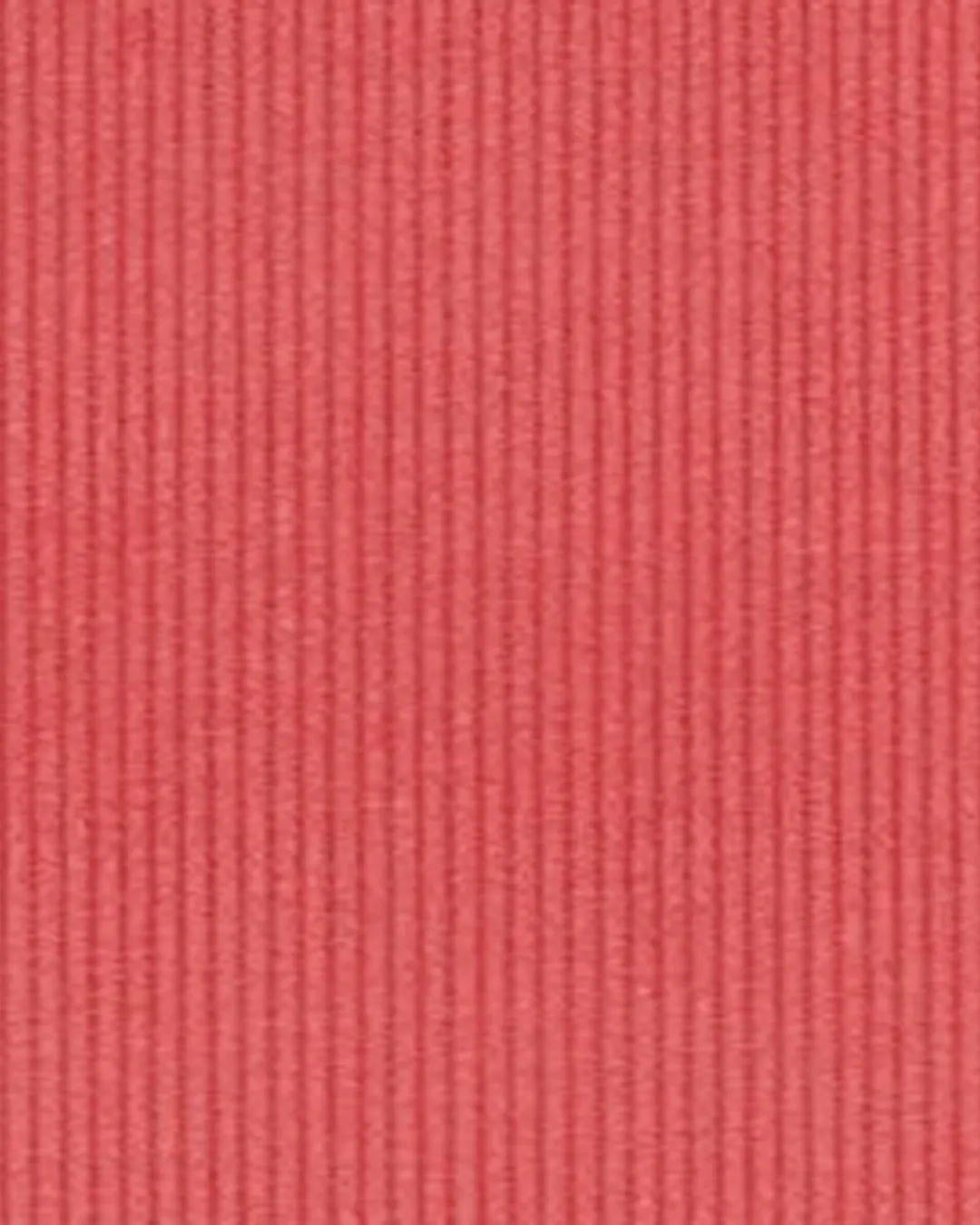 Brisbane Moss Coral Needlecord