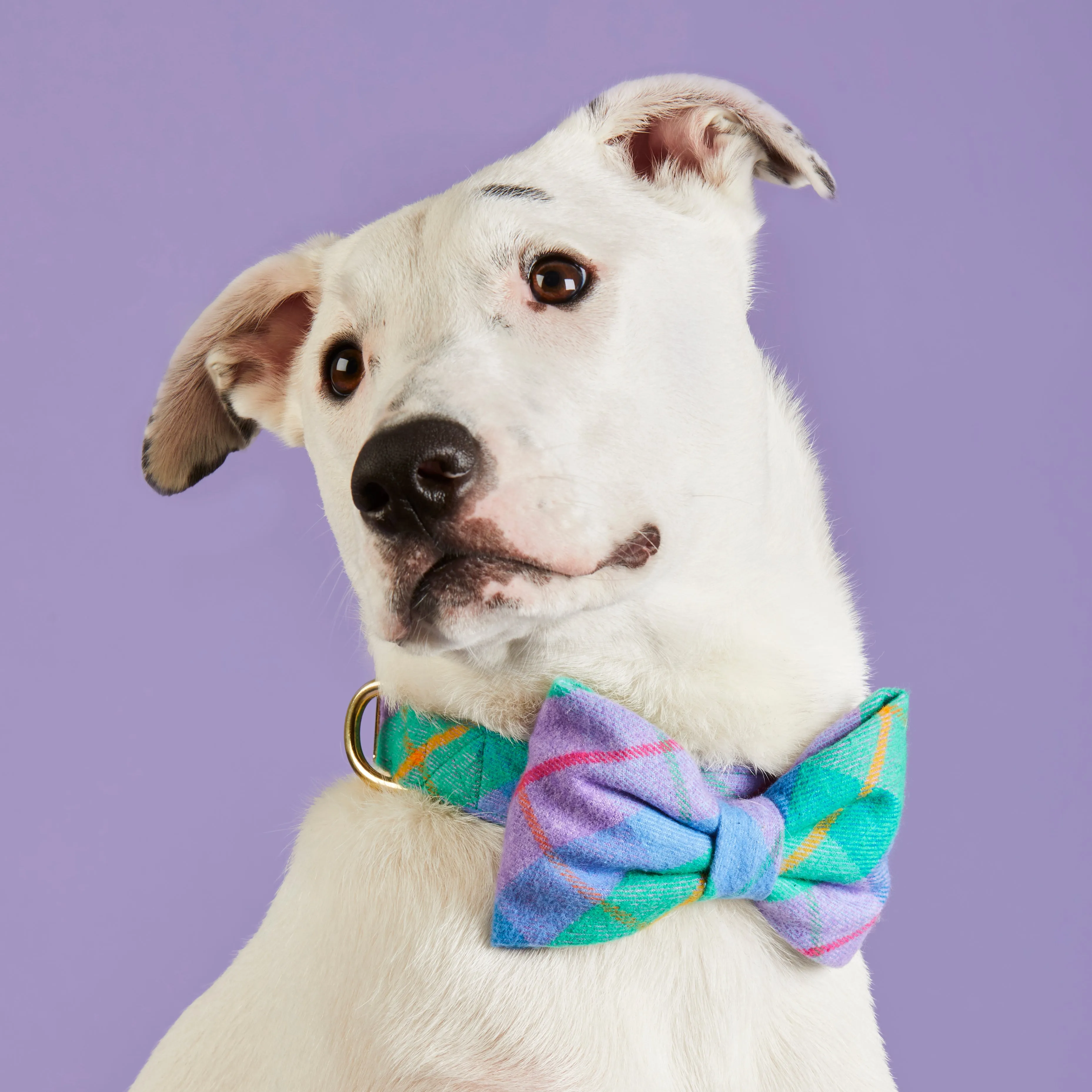 Fable Plaid Flannel Dog Bow Tie