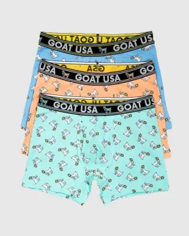WG Boxer Briefs (3x)